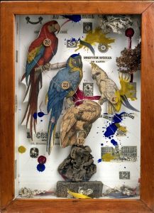 a collage of cut-out birds in a wooden frame with other unidentifiable objects
