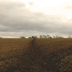 a path across a wintery field